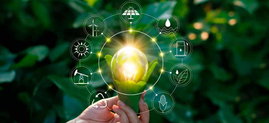 Cómo diseñar un modelo de negocio sostenible económicamente y con impacto ambiental